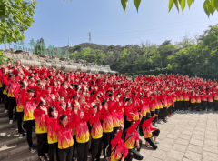 退职业教展的当下