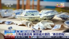 这本“汗青基因图谱”正式解